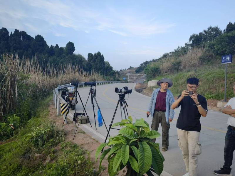 平山区电商产品视频拍摄制作：如何打造高转化的电商视觉内容？